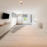 Pet Friendly In *