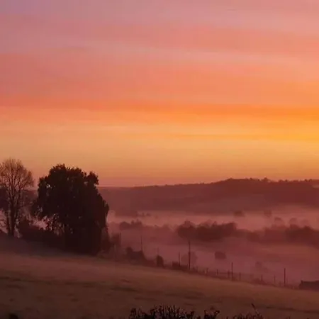 Pet Friendly In 別荘