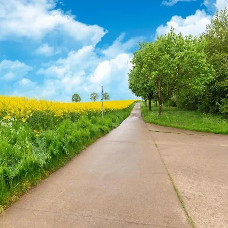 Spacious With Garden